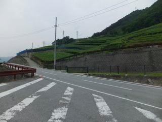 DSCF9602