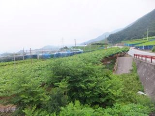 DSCF9606