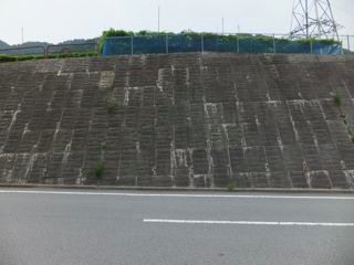 DSCF9615