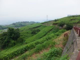 DSCF9619