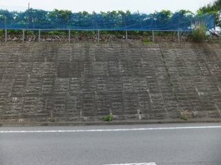 DSCF9637