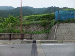 DSCF9640