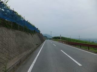 DSCF9642