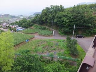 DSCF9646