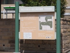 Pasted Graphic 8