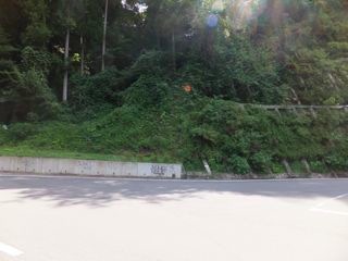 DSCF0597