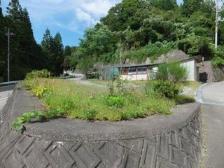 DSCF0611