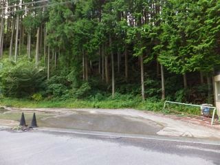 DSCF0617