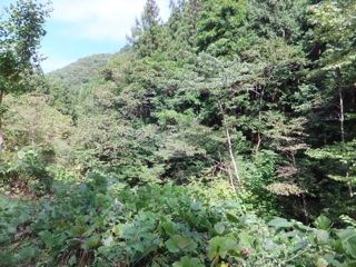 DSCF0620