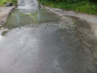 DSCF0623