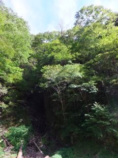 DSCF0644