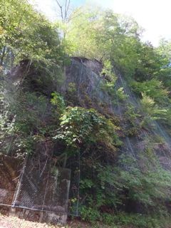 DSCF0665