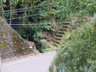 DSCF0959