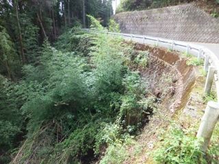 DSCF0963