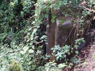 DSCF0964