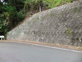 DSCF0968