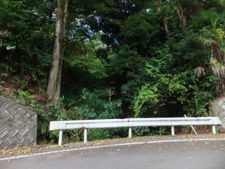 DSCF0973