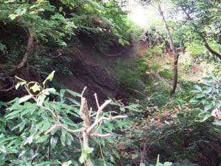 DSCF0977