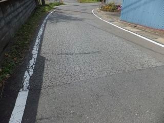 DSCF1006