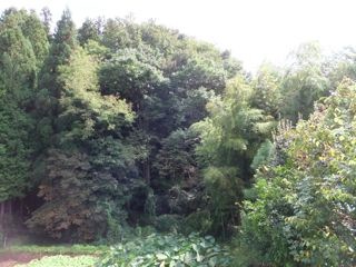 DSCF1012
