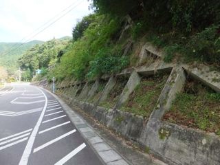 DSCF1026
