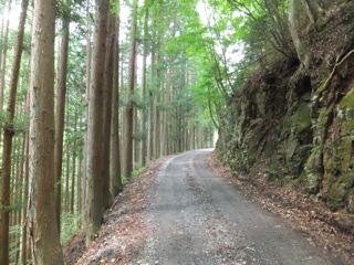 DSCF7078
