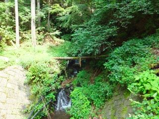 DSCF7098