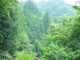 DSCF7120