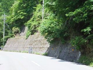 DSCF9665