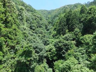 DSCF9671