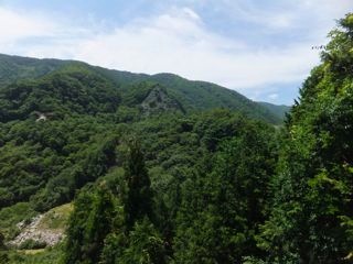 DSCF9679