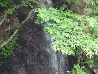 DSCF9686