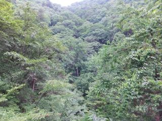 DSCF9718