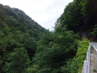 DSCF9726