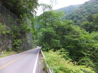 DSCF9729