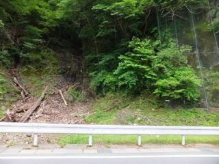 DSCF9732