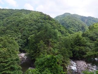 DSCF9753