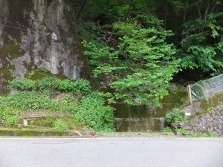 DSCF9763
