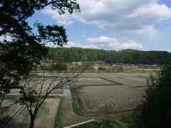 DSCF6045