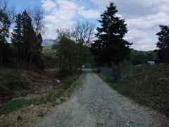 DSCF6055