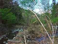 DSCF6074