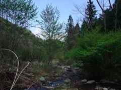 DSCF6075