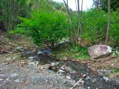 DSCF6078