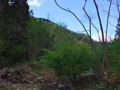 DSCF6080