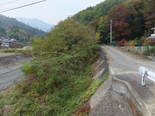 DSCF7486