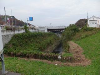 DSCF7496