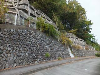DSCF7512