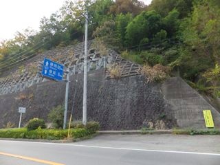 DSCF7522