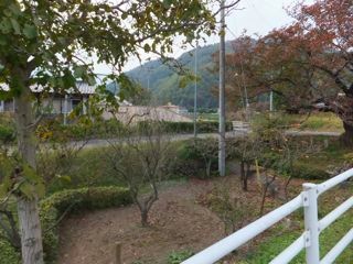 DSCF7529