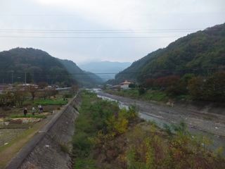 DSCF7533